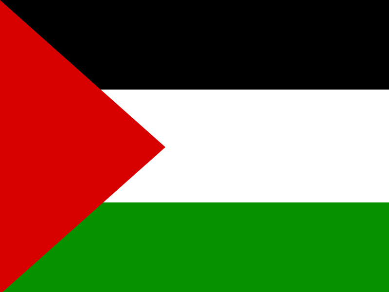 Palestine Flag